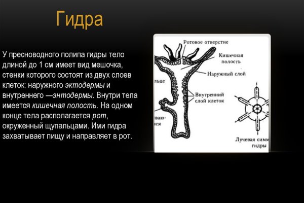 Кракен ссылка прокатис