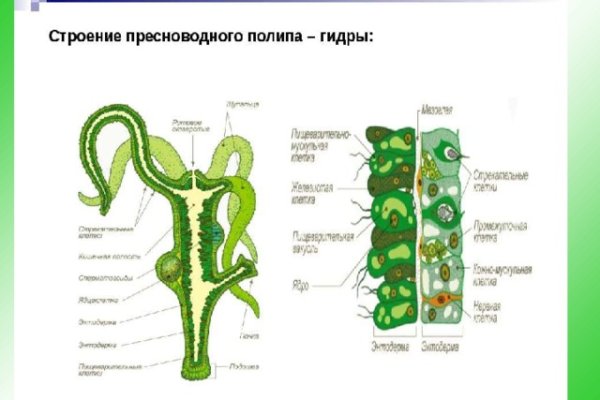 Кракен торговая площадка даркнет